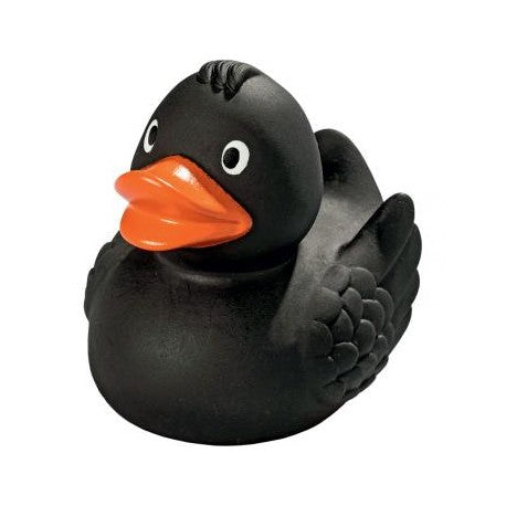 Canard Noir Schnabels CoinCaillerie