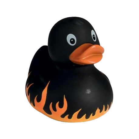 Canard Flamme