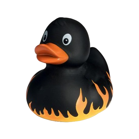 Canard Flamme
