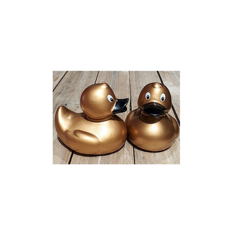 canard original dore 26249804