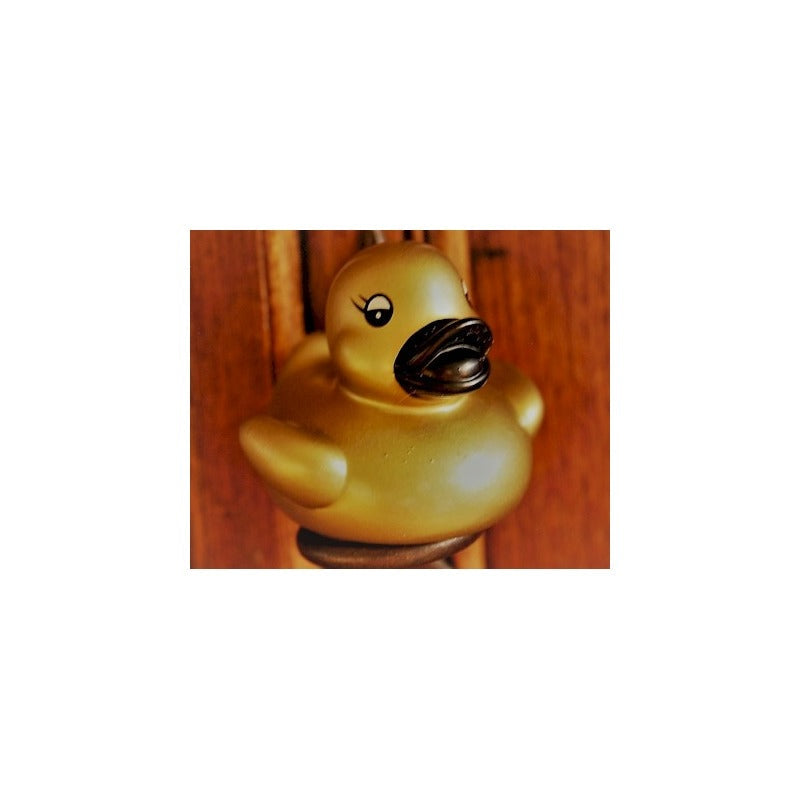 petit canard dore 45075703