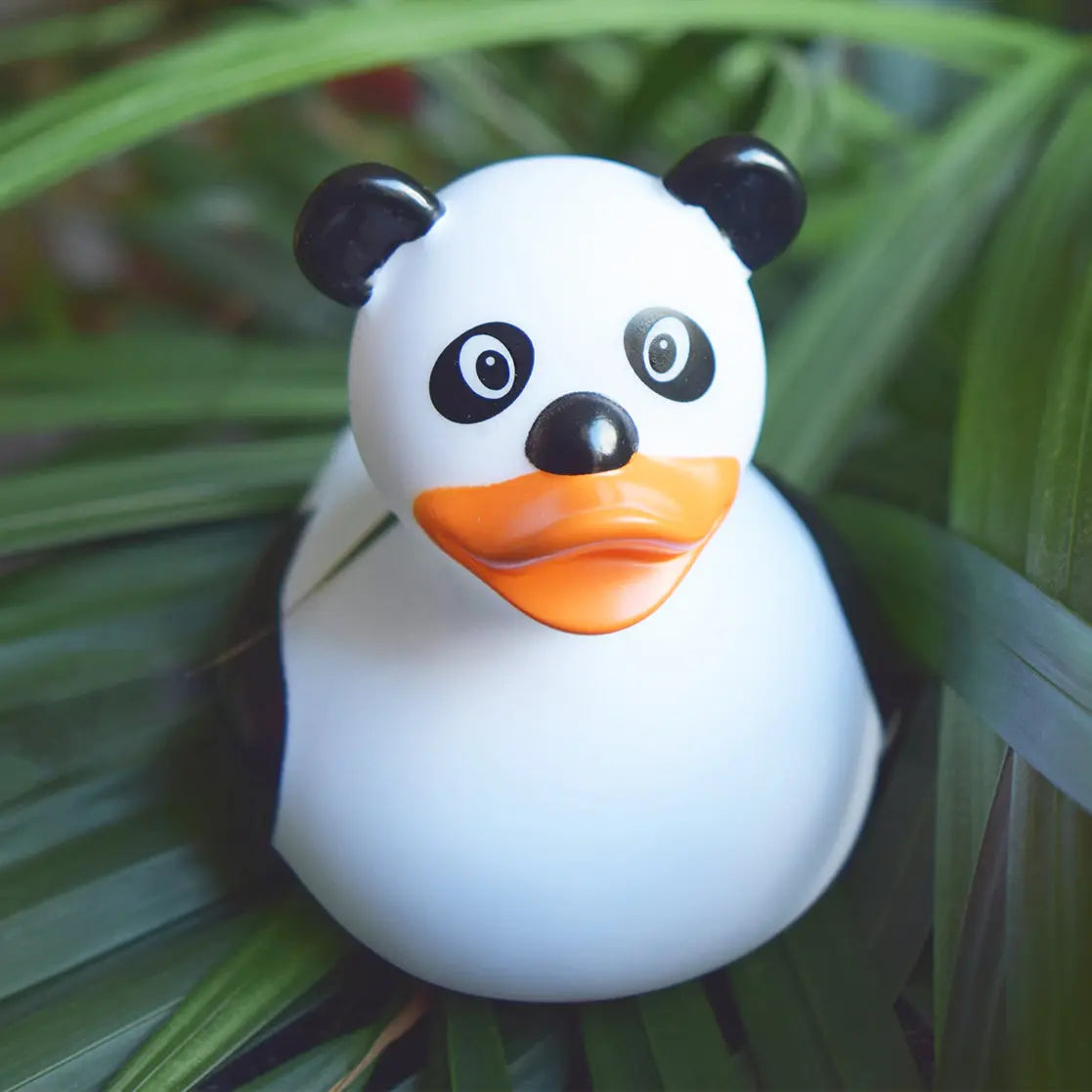 Canard Panda Lilalu CoinCaillerie