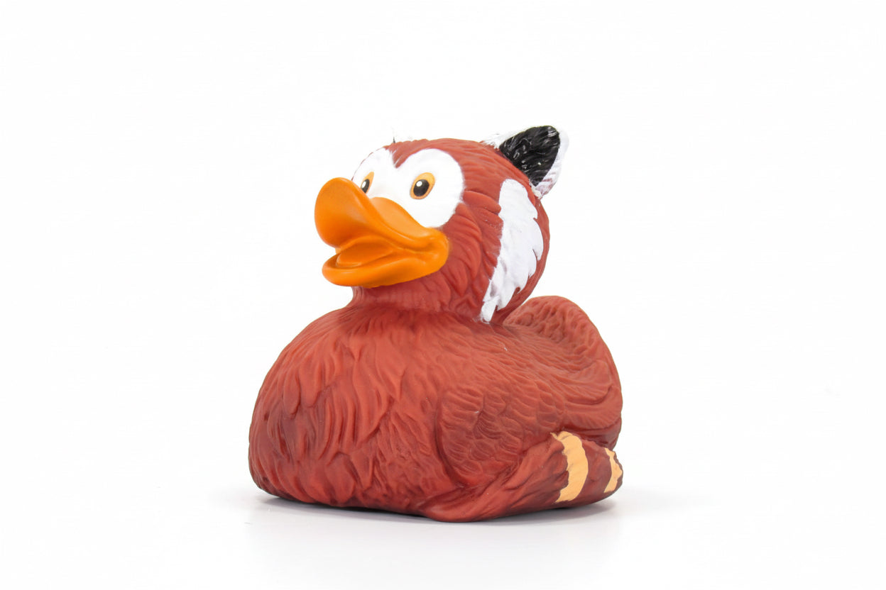 Canard Panda Roux
