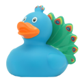 Pato Pavão