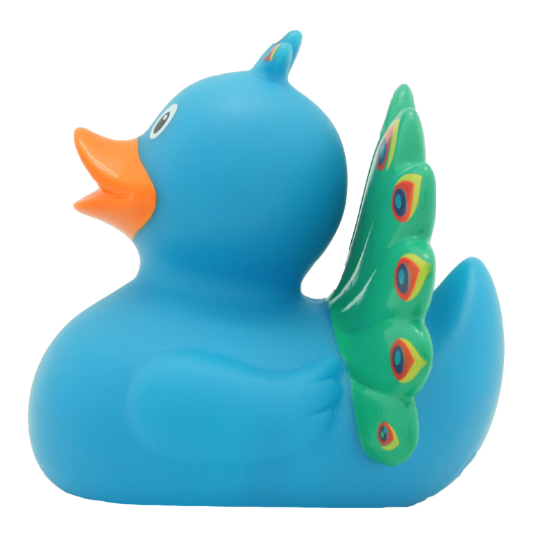 Pato Pavão