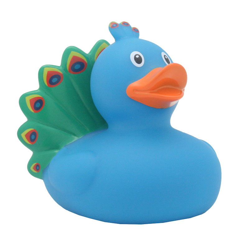 Pato Pavão