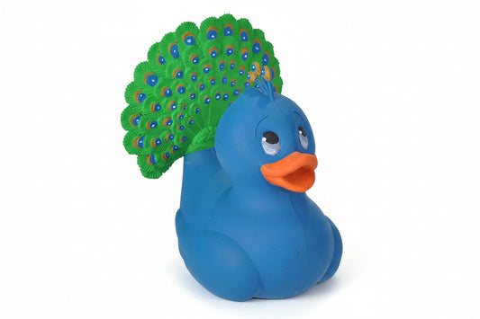 Peacock Duck