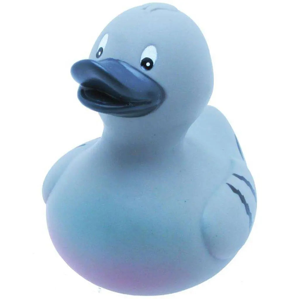 canard pigeon 13404 5015653534043