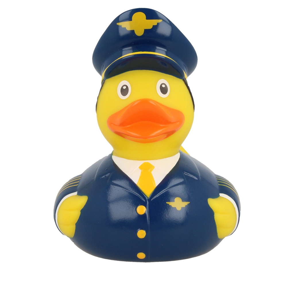 Canard Pilote de Ligne