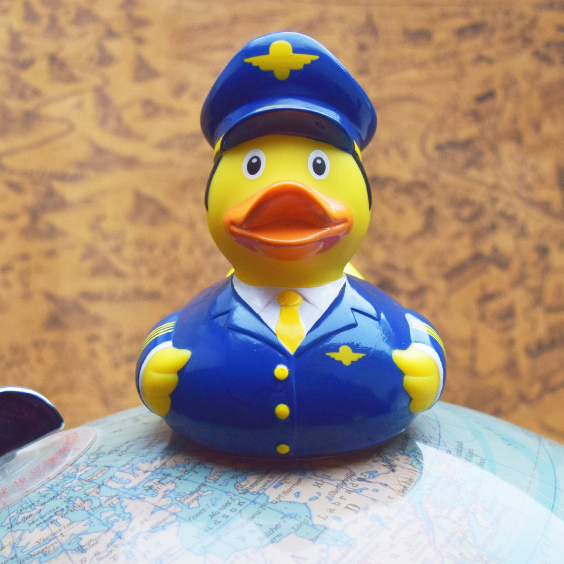 Pilot letecké společnosti Duck
