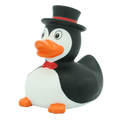 Ente Pinguin