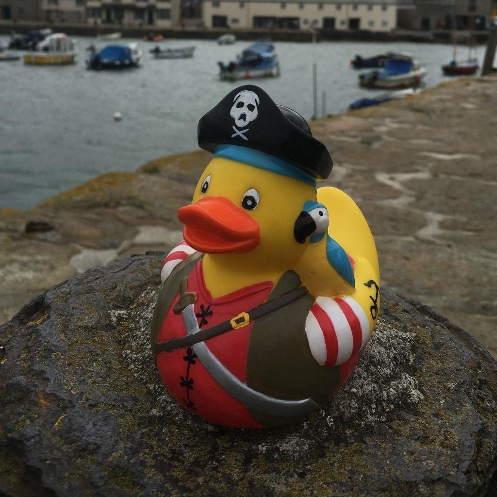 canard pirate 1 