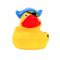 Canard Pirate