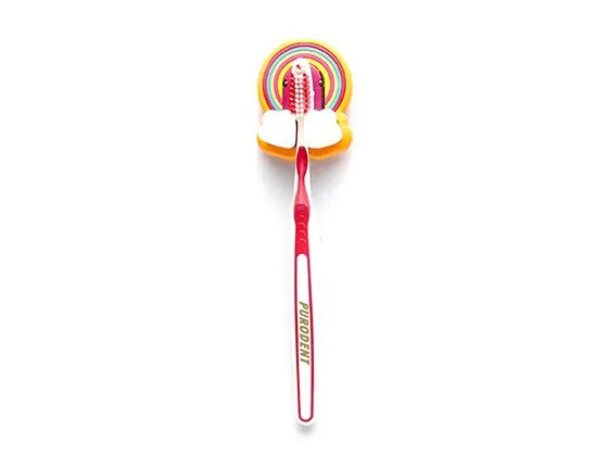 canard porte brosse a dents arc en ciel canar 