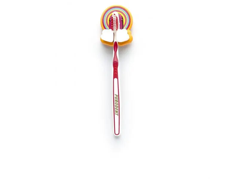 canard porte brosse a dents arc en ciel canar 