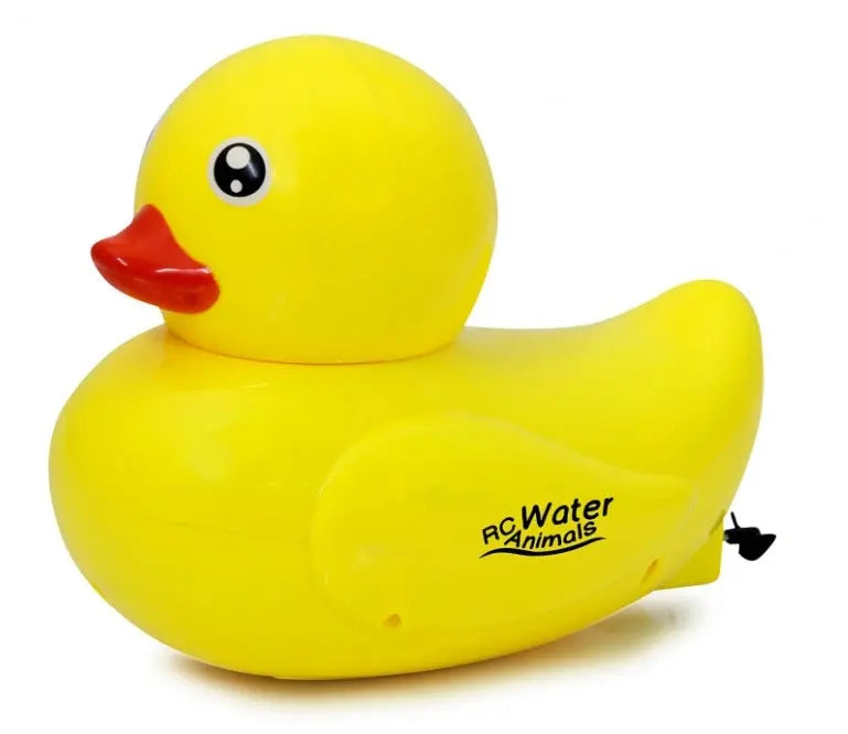 canard radiocommande 