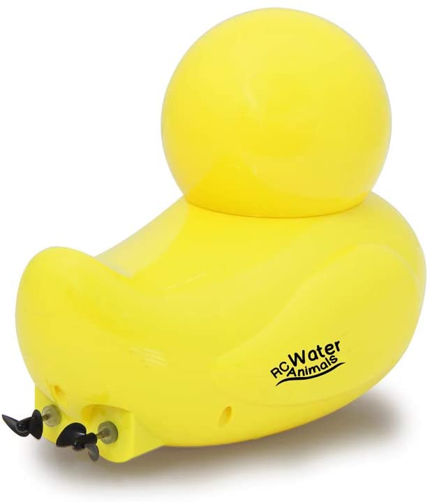 Canard Radiocommandé – visuel produit