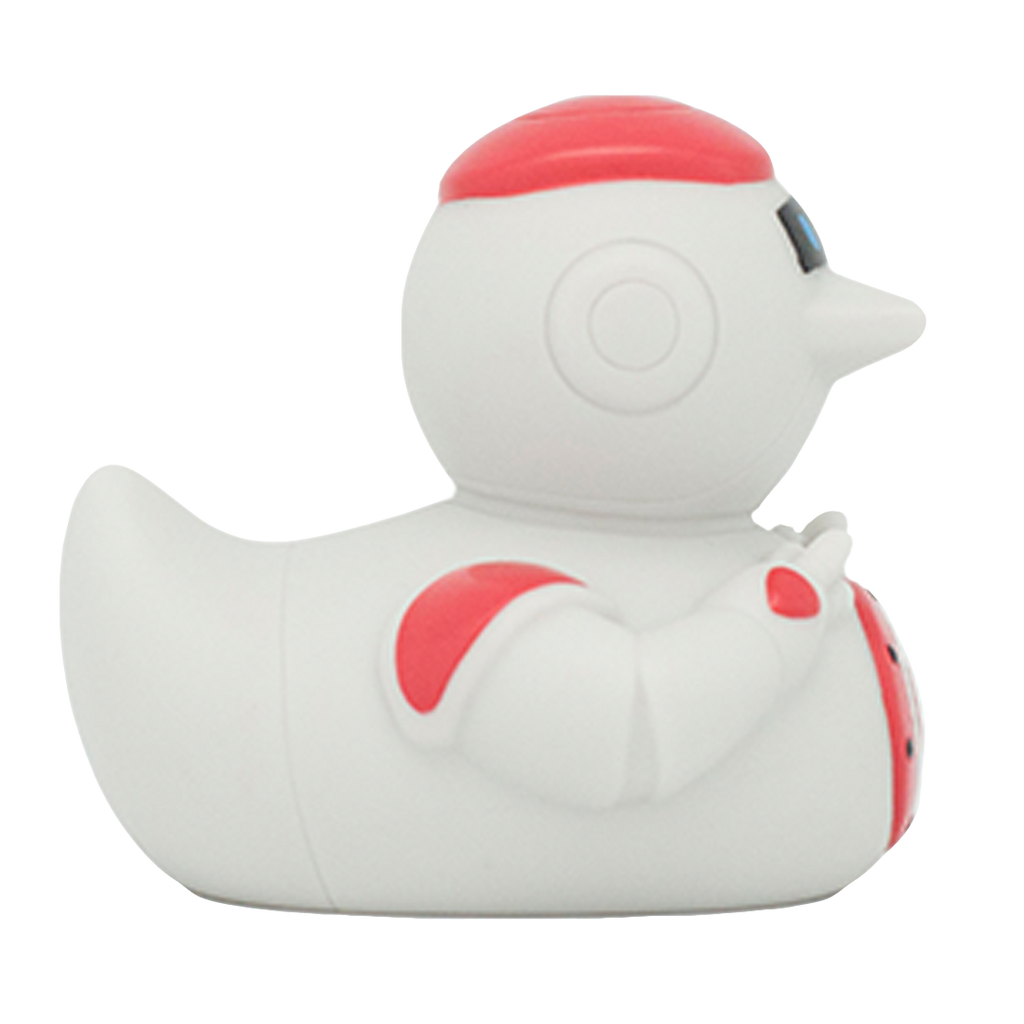 canard-robot-lilalu