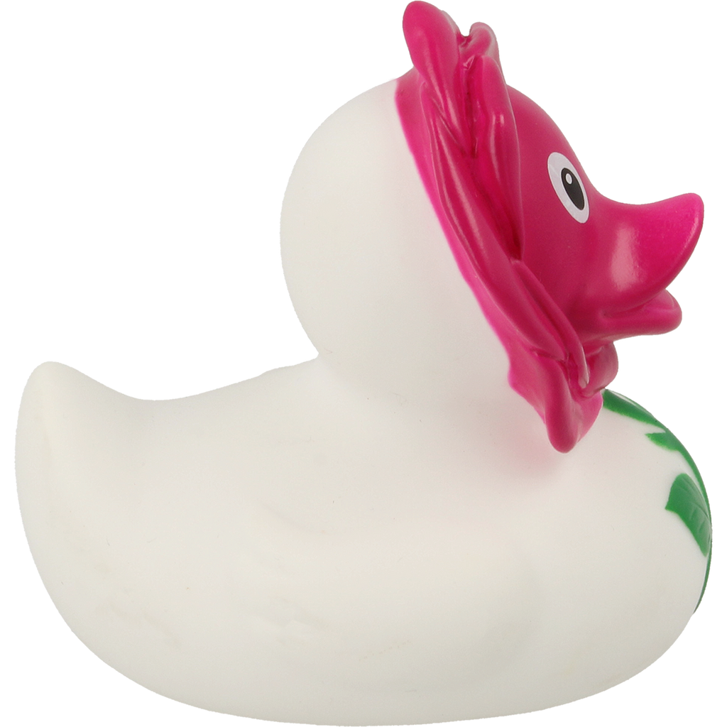 Canard Rosier – visuel produit
