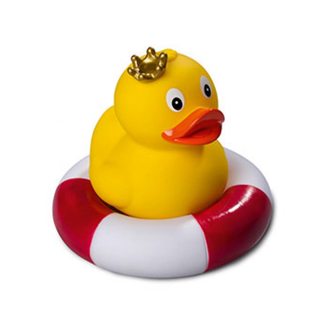 Canard Royal Debout Schnabels CoinCaillerie