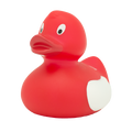 Ente TEILEN SIE GLÜCK