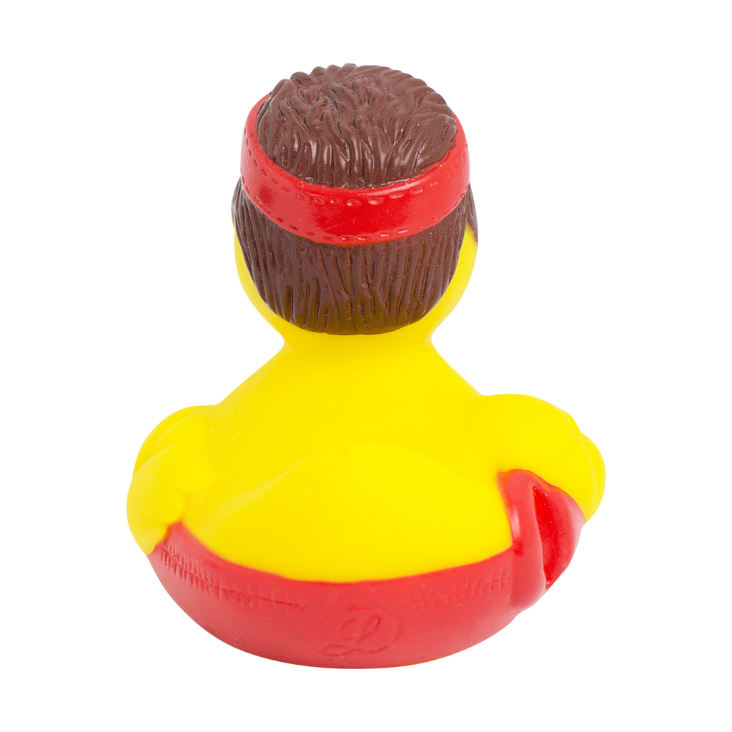 canard-sauveteur-lilalu
