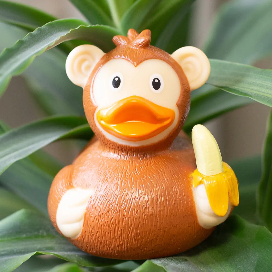 Canard Singe Lilalu CoinCaillerie