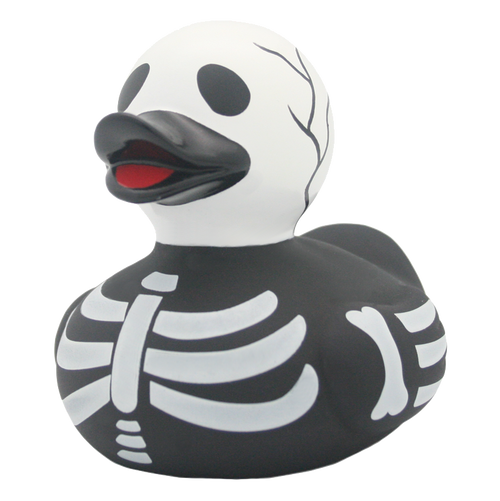 Canard Squelette – visuel produit