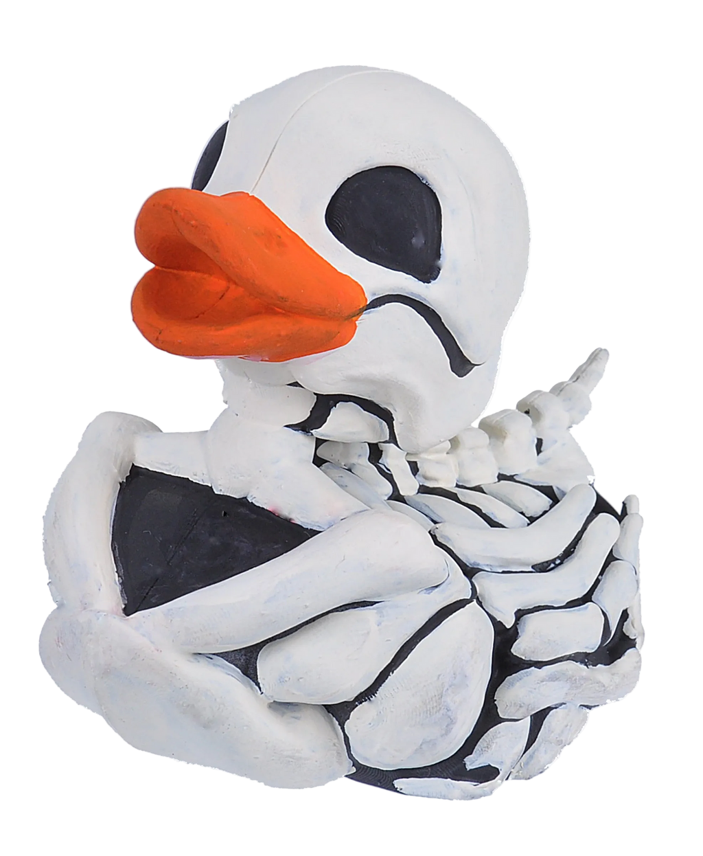 Canard Squelette