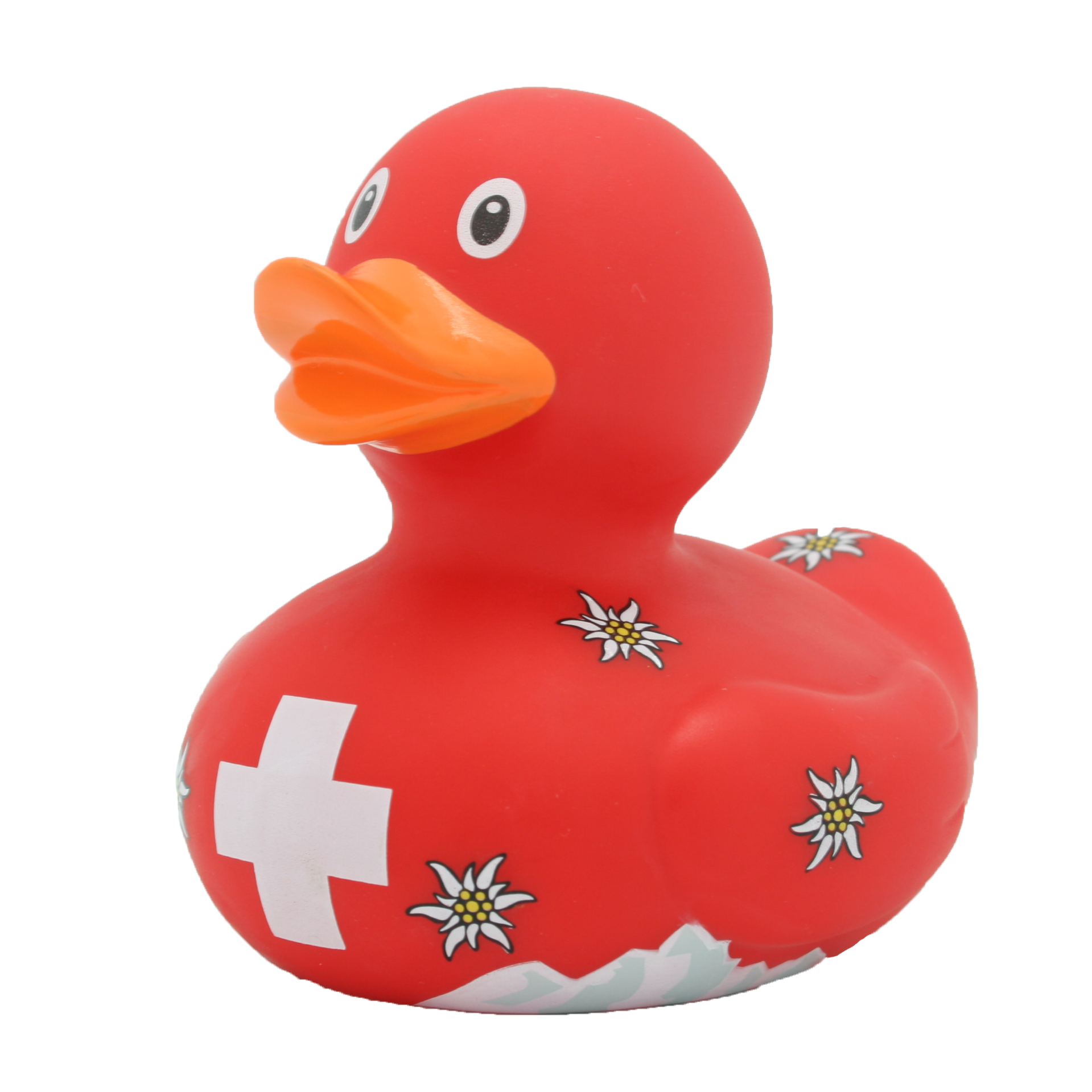 Swiss Duck