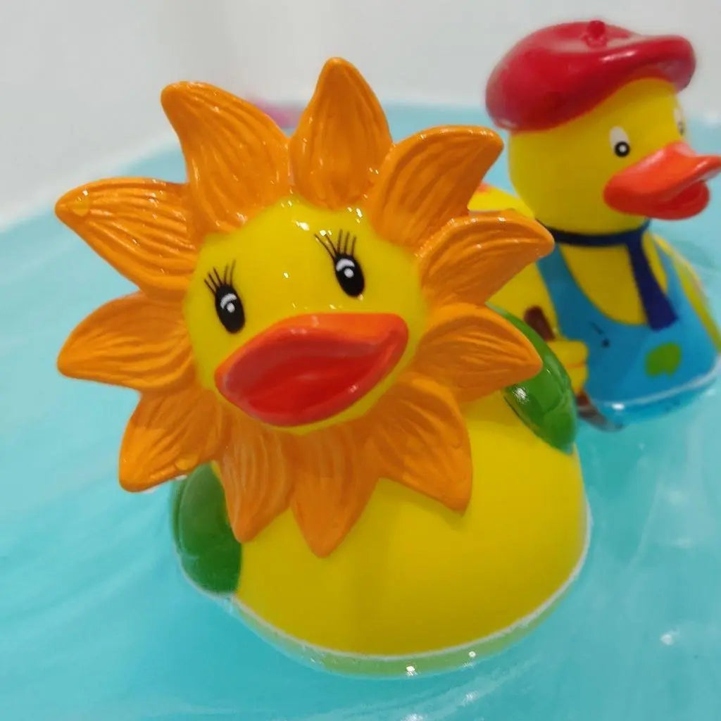 canard tournesol 