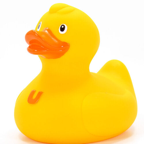 canard uno bud duck 