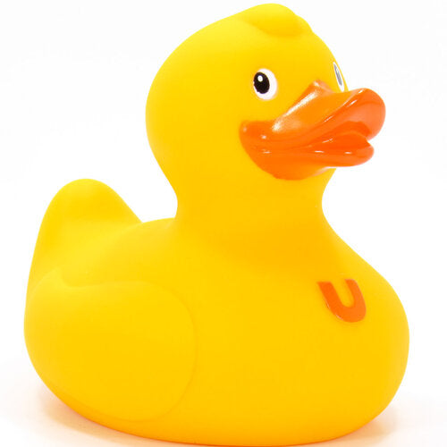 canard uno bud duck 