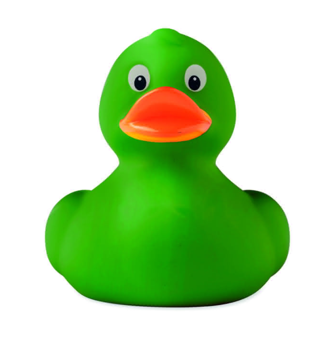 Canard Original Vert Canard de Bain CoinCaillerie