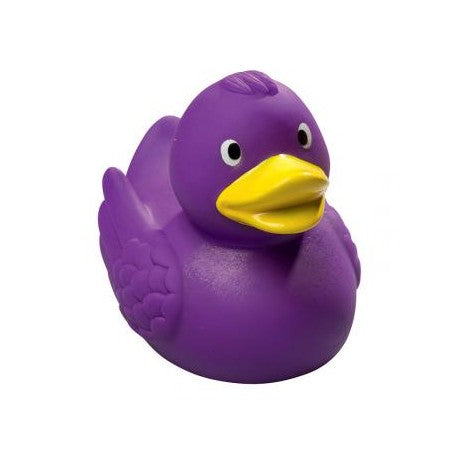 Canard Violet Schnabels CoinCaillerie