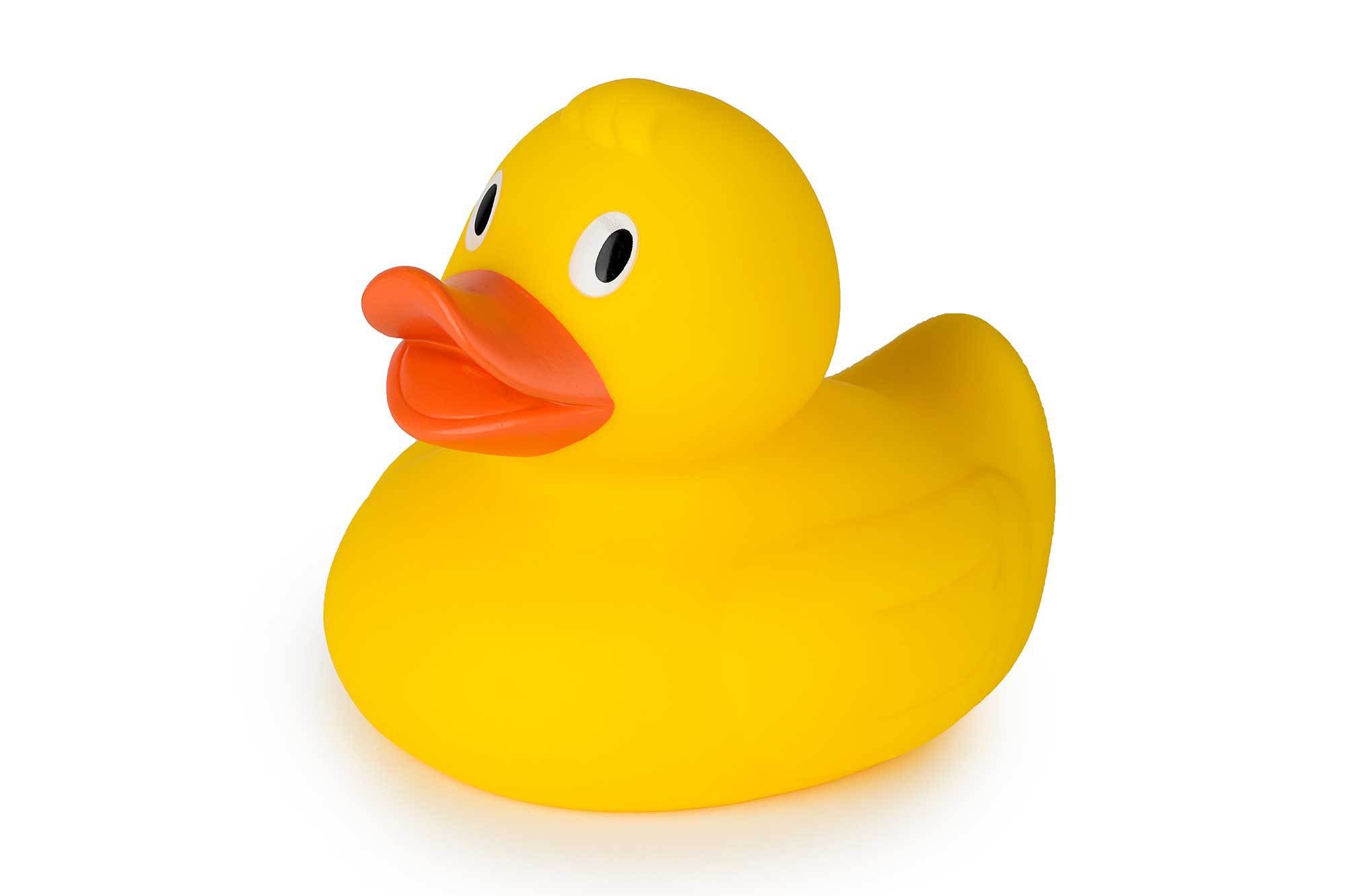 Pato Amarillo XL