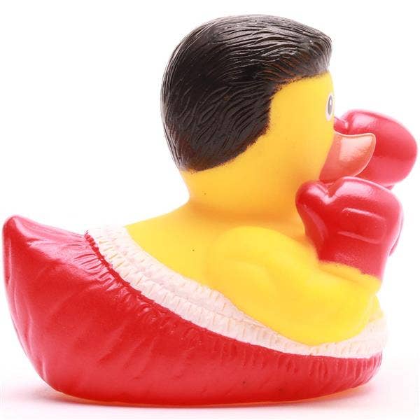 Canard Boxeur