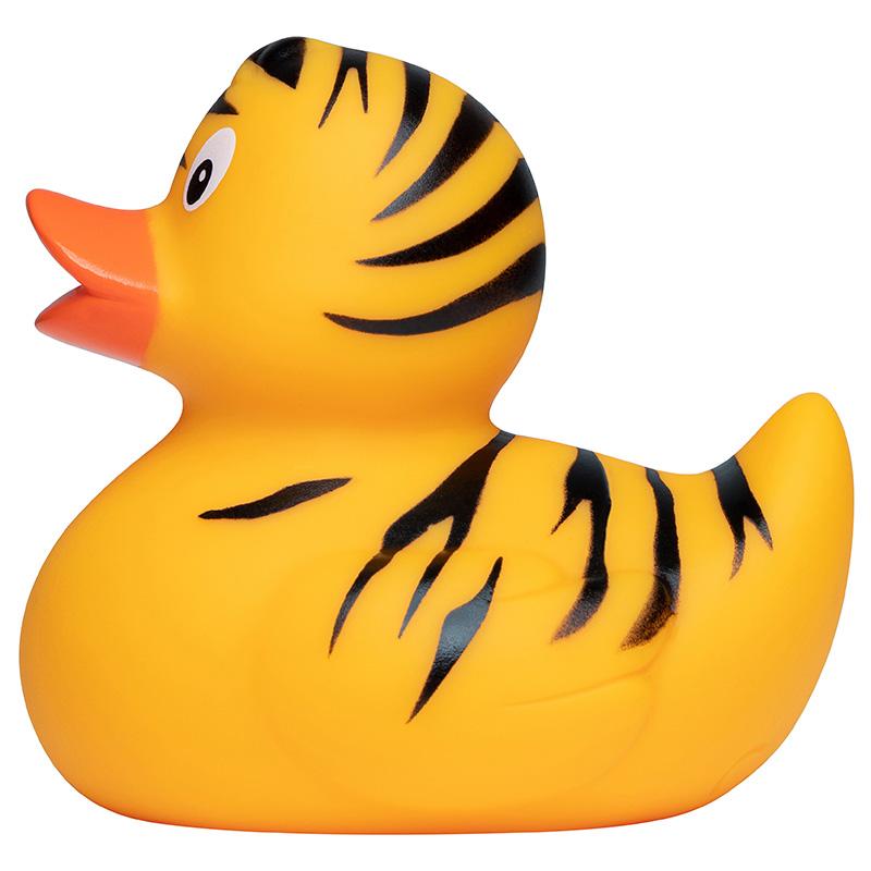 Canard Tigre
