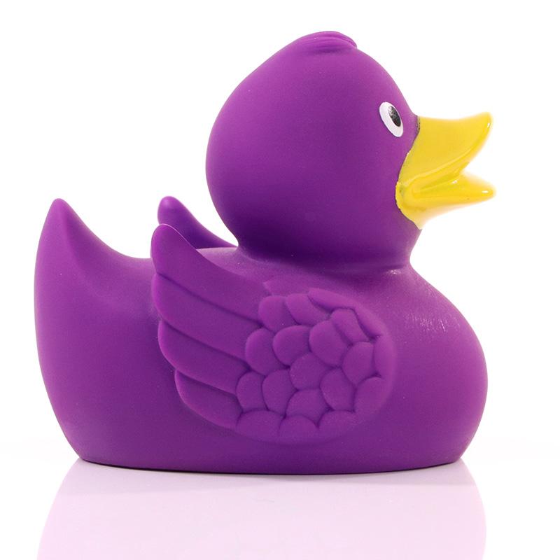 Canard Violet Schnabels CoinCaillerie