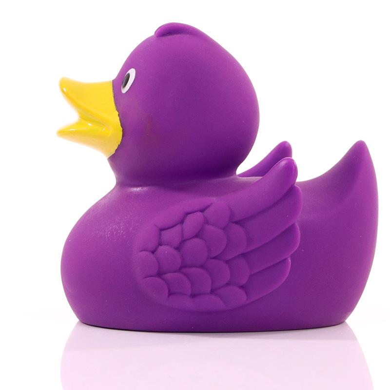 Canard Violet Schnabels CoinCaillerie