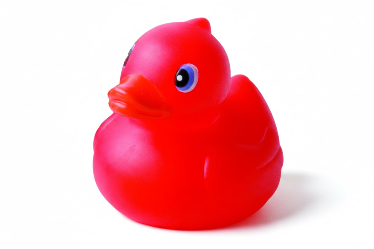 pato rojo