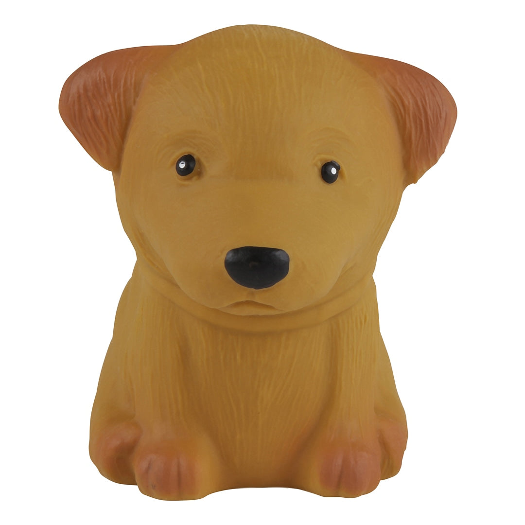 Caniche Hevea