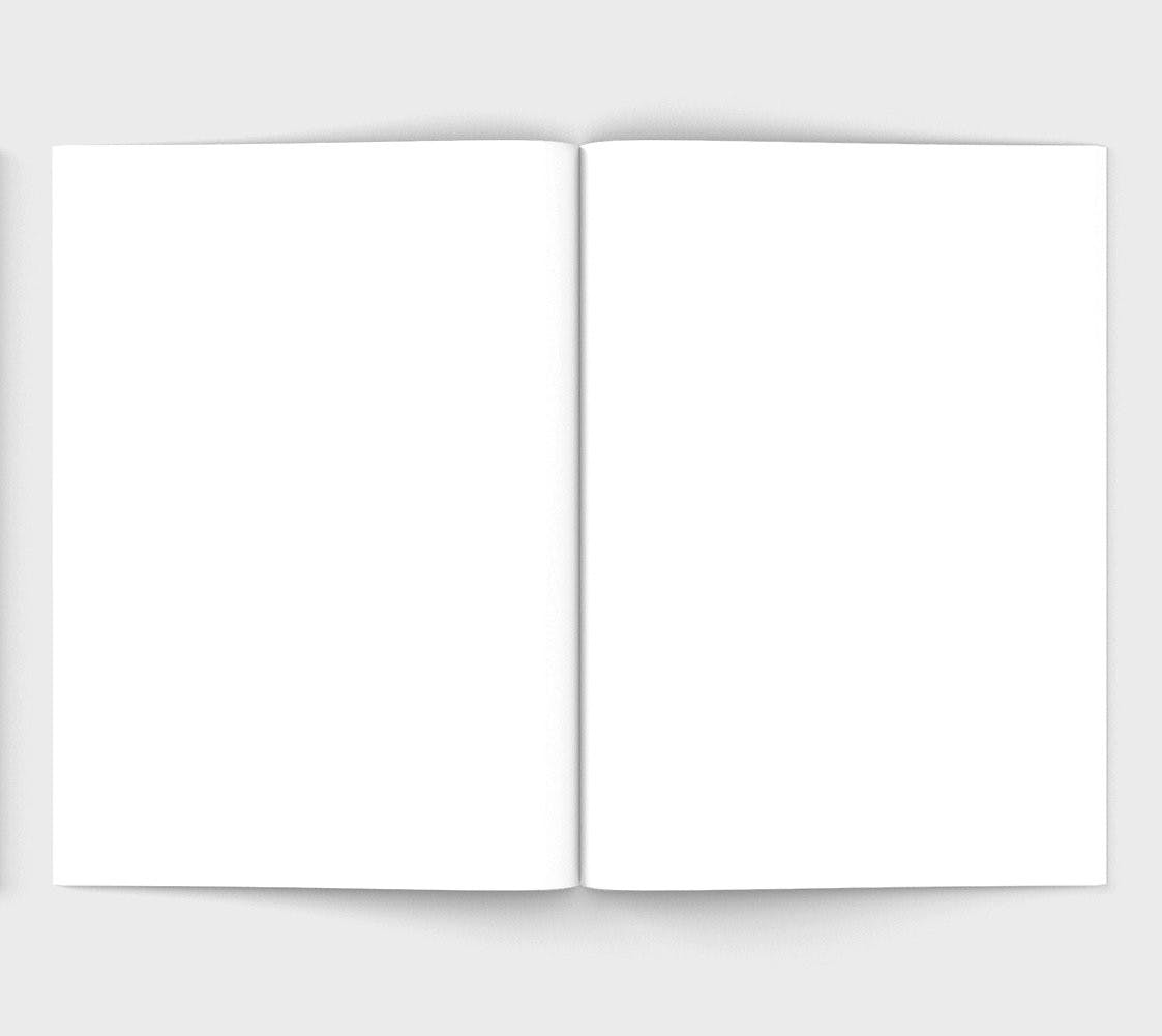 carnet de note canard colvert ellie good illustration 