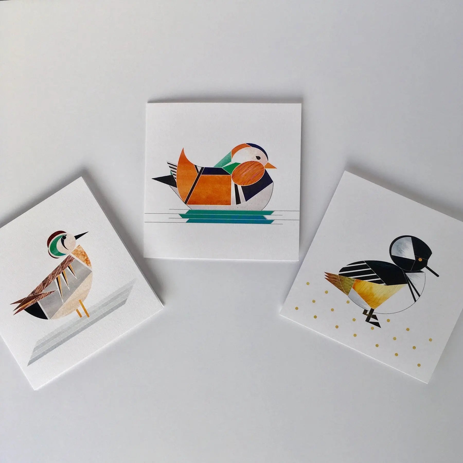 carte de voeux canard mandarin ellie good illustration 