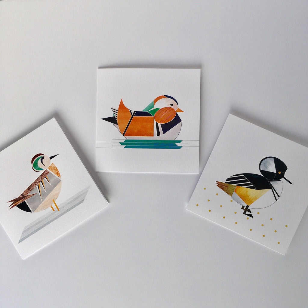 carte de voeux canard sarcelle elegante ellie good illustration 