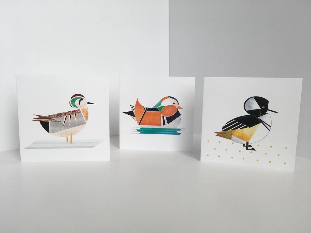 carte de voeux canard harle couronne ellie good illustration 