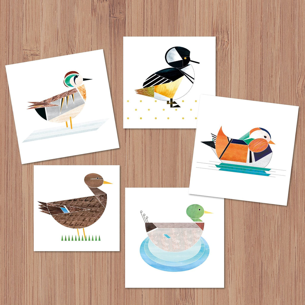carte de voeux canard sarcelle elegante ellie good illustration 
