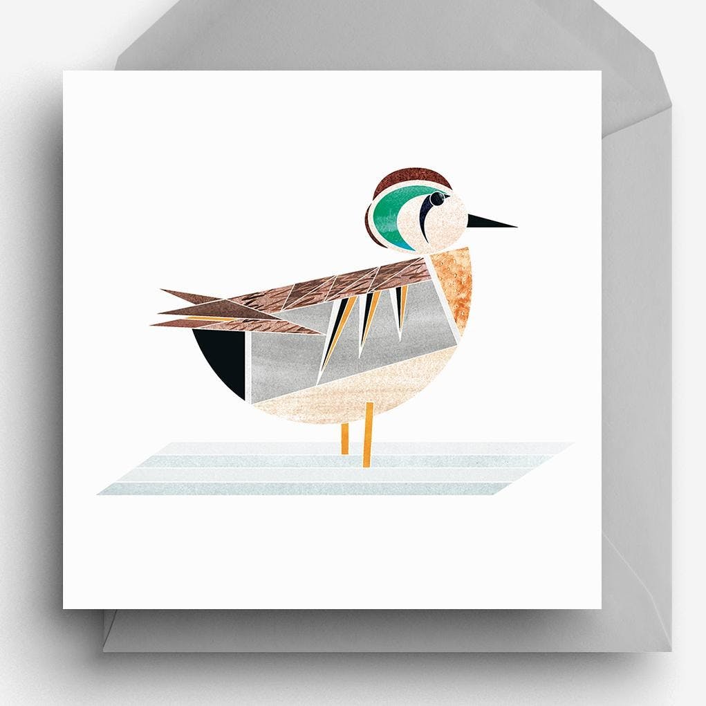 carte de voeux canard sarcelle elegante ellie good illustration CA btD18 1 634158863936