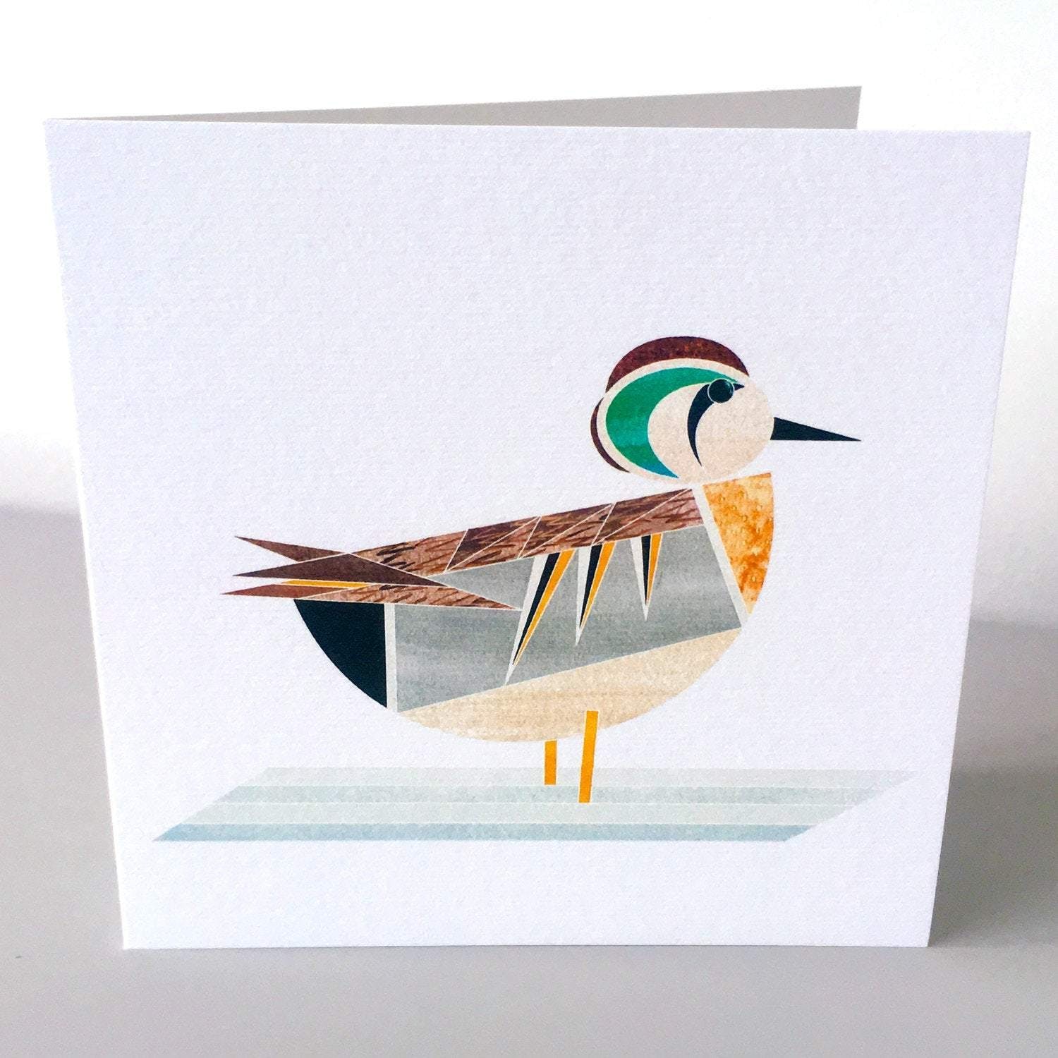 carte de voeux canard sarcelle elegante ellie good illustration 