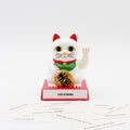 Chat Chanceux Cattidude - le Chat Chanceux